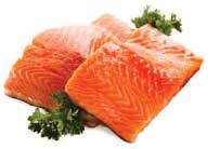 Salmon